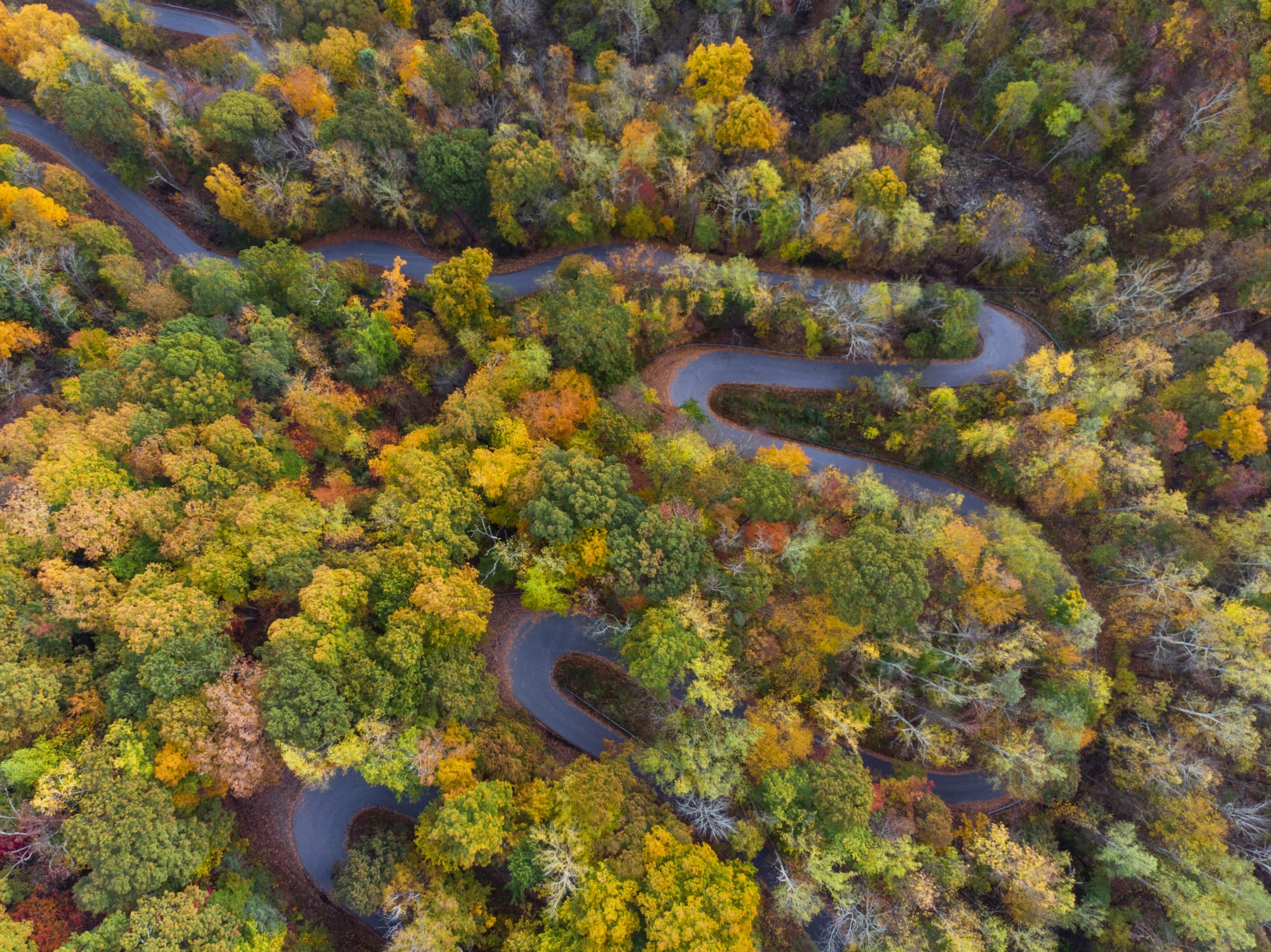 carreteras sinuosas a lo largo de la frontera de Tennessee Carolina del Norte